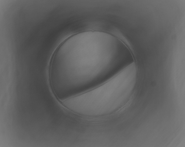 X0000101951434200807180653