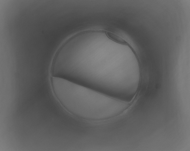 X0000101951436200807180653
