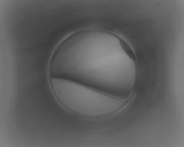 X0000101951437200807180653