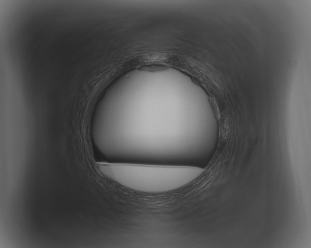 X0000101951441200807180653