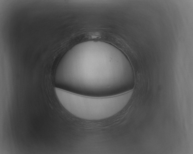 X0000101951442200807180653