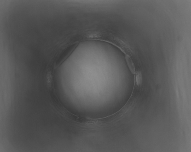 X0000101951444200807180653