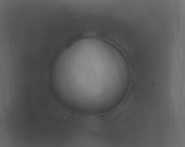 X0000101951445200807180653