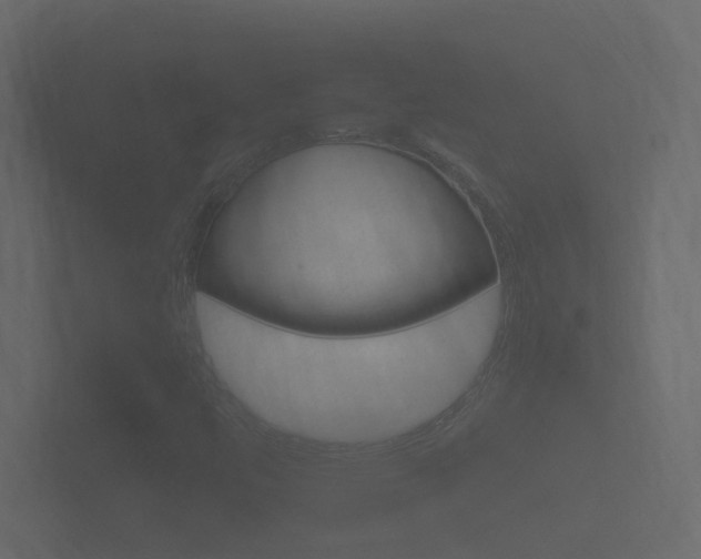 X0000101951447200807180652