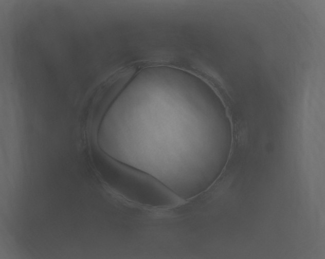 X0000101951448200807180652