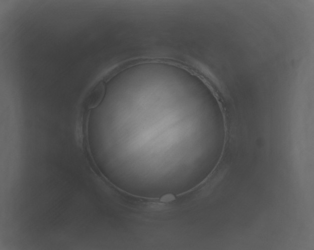 X0000101951456200807180652