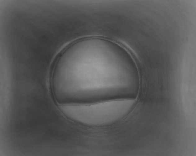 X0000101951460200807180652