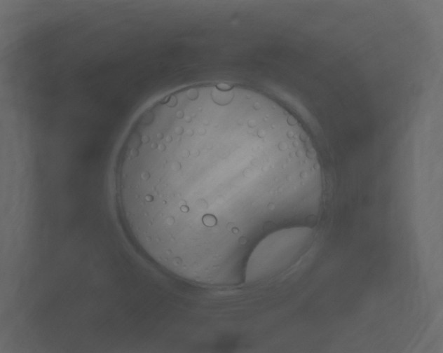 X0000101951471200807180652
