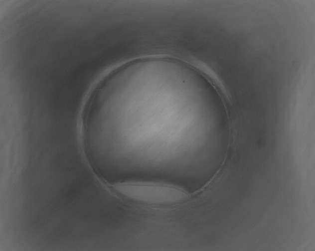 X0000101951472200807180652