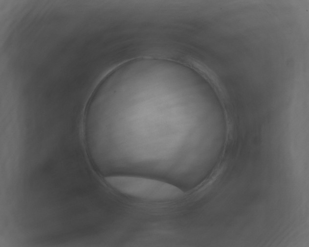 X0000101951473200807180652