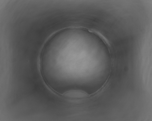 X0000101951476200807180652