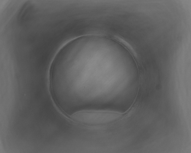 X0000101951479200807180652