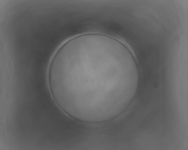 X0000101951480200807180652