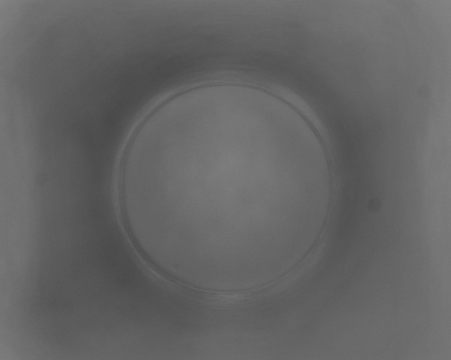 X0000101951482200807180652