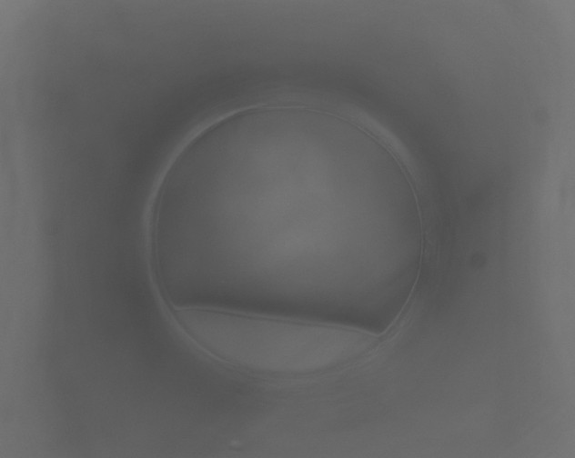 X0000101951483200807180652