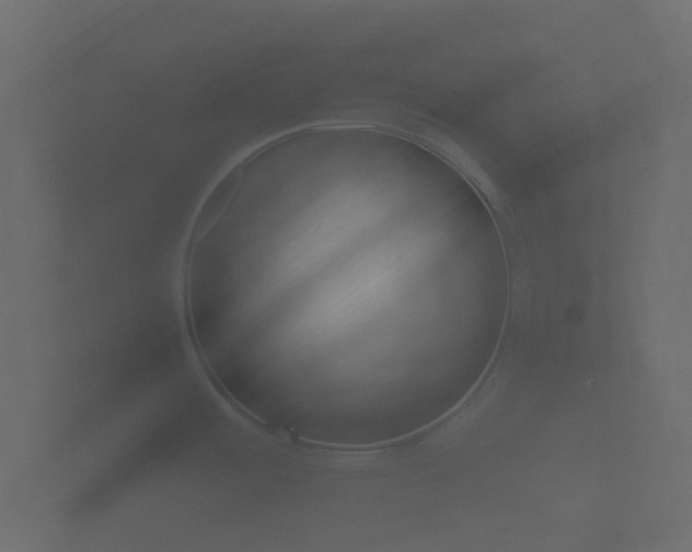 X0000101951484200807180652