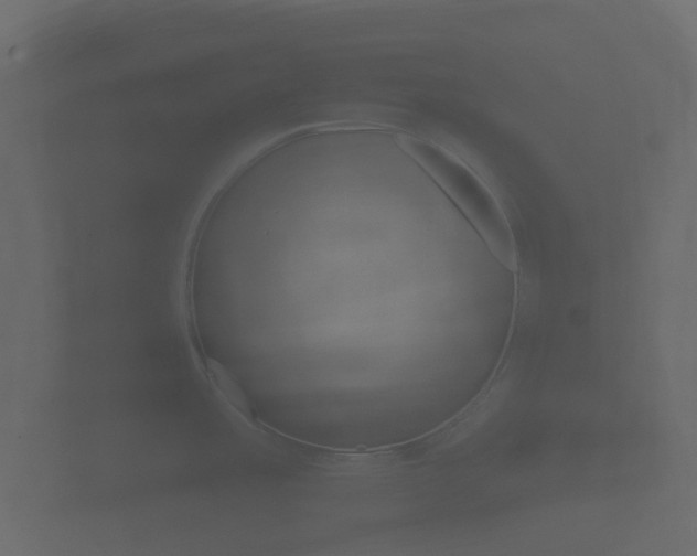 X0000101951485200807180652