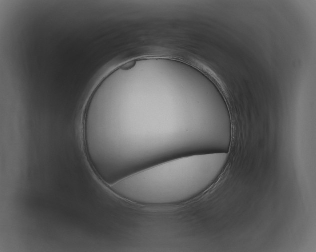 X0000101951487200807180652