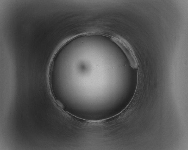 X0000101951488200807180652