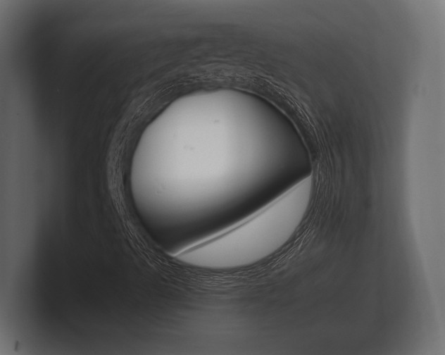 X0000101951489200807180651
