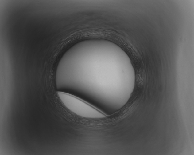 X0000101951490200807180651