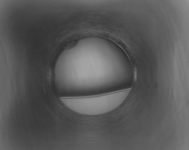 X0000101951492200807180651