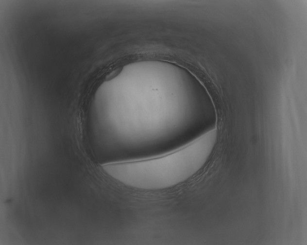 X0000101951493200807180651