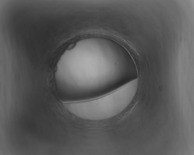 X0000101951494200807180651