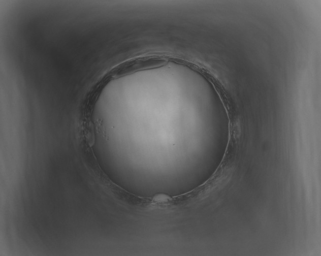 X0000101951496200807180651