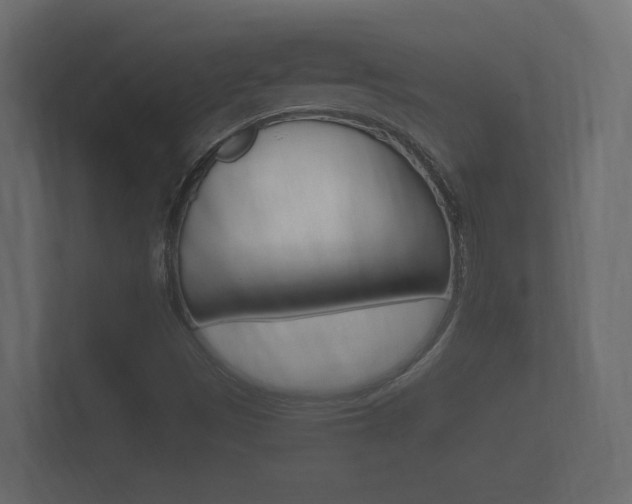 X0000101951497200807180651
