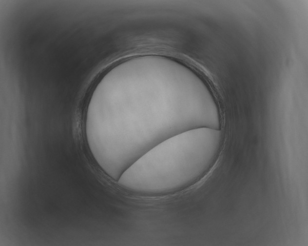 X0000101951498200807180651