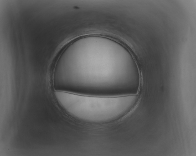 X0000101951501200807180651