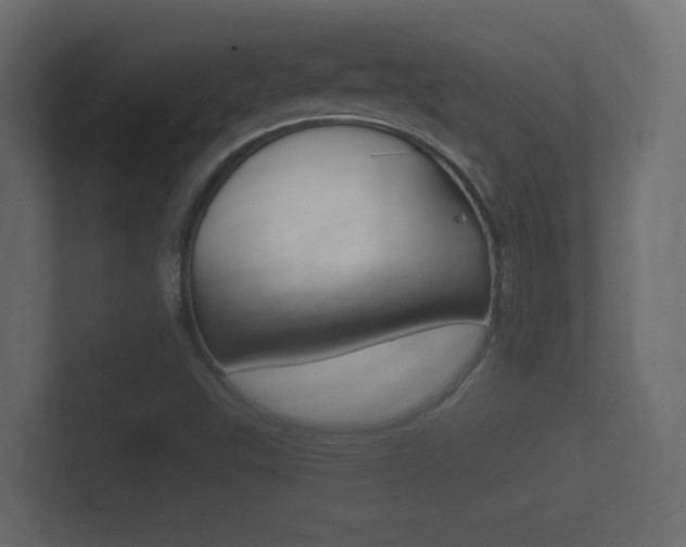 X0000101951503200807180651