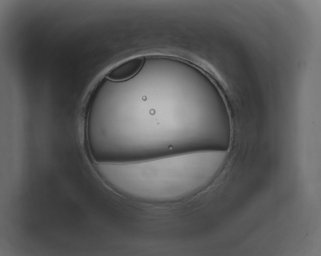 X0000101951504200807180652