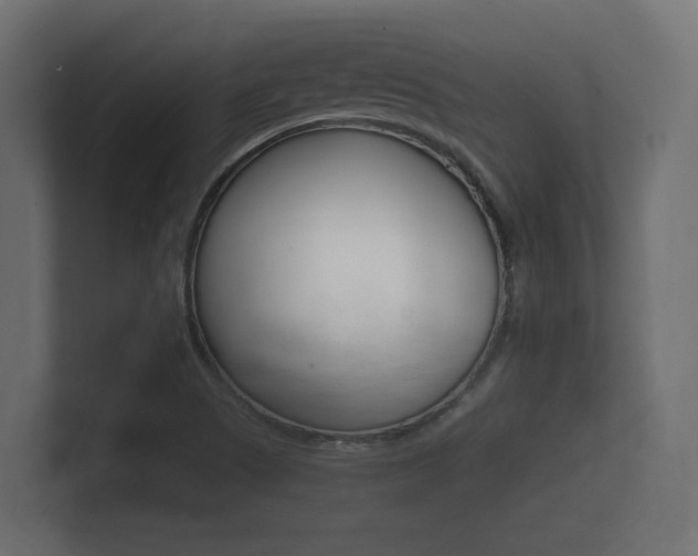 X0000101951505200807180652
