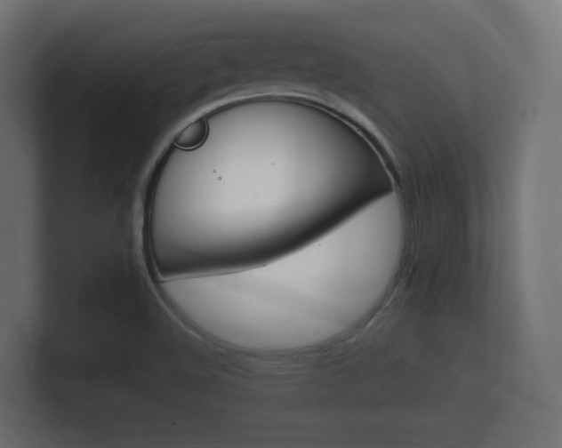 X0000101951508200807180652