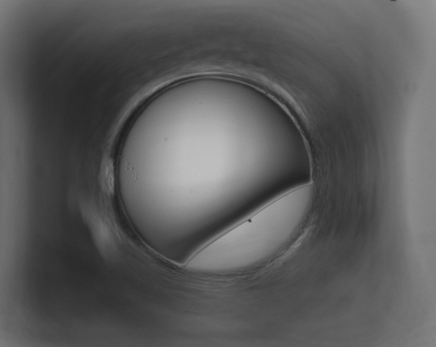X0000101951509200807180652