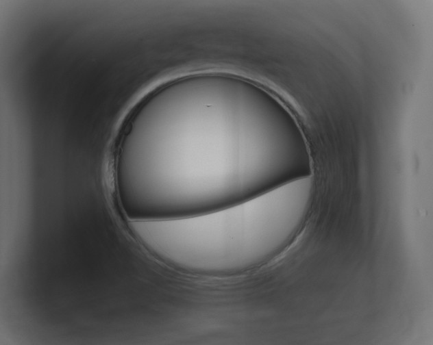 X0000101951510200807180652