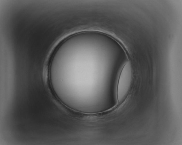 X0000101951511200807180652