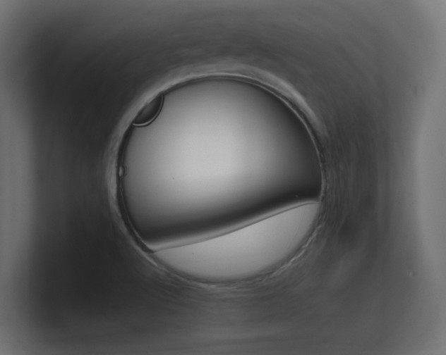 X0000101951512200807180652