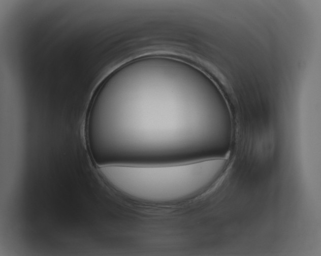 X0000101951513200807180652