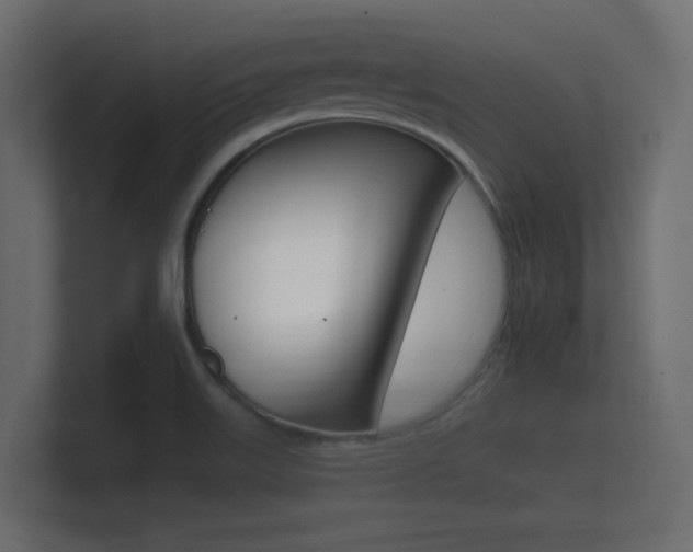 X0000101951515200807180652