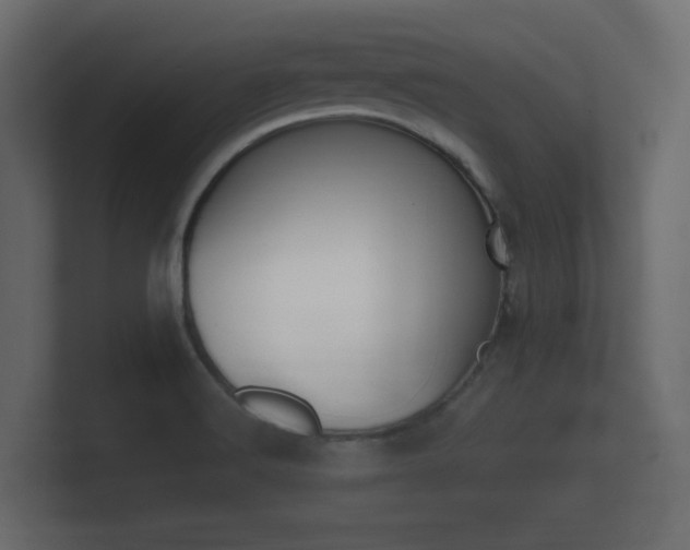 X0000101951516200807180652