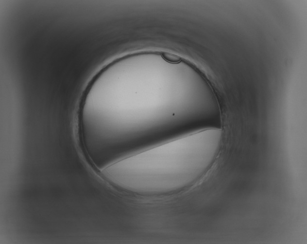 X0000101951518200807180652