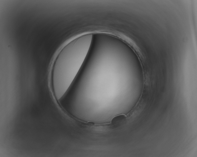X0000101951520200807180652