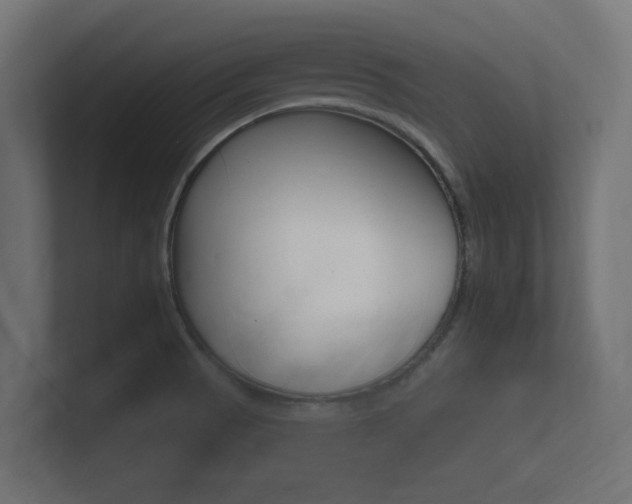 X0000101951521200807180652