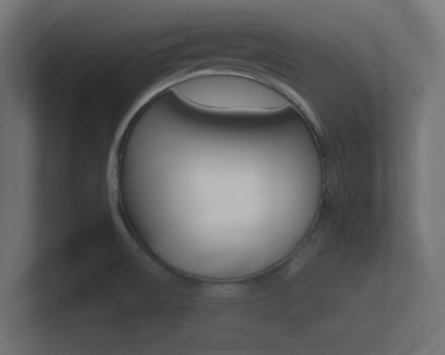 X0000101951522200807180652