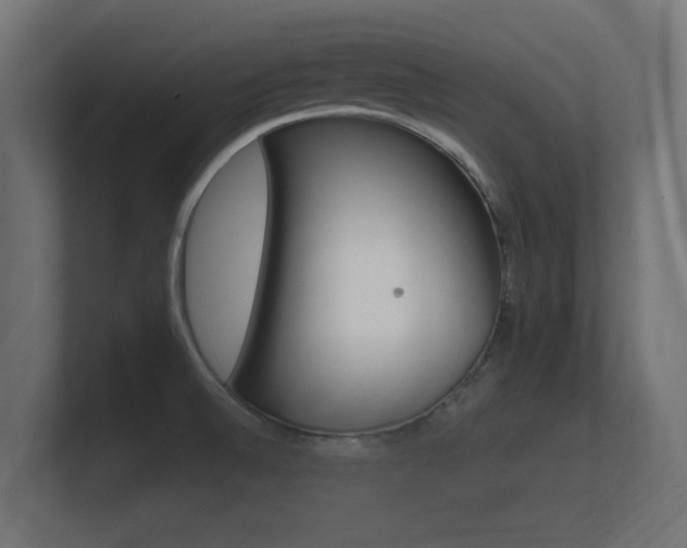 X0000101951524200807180652