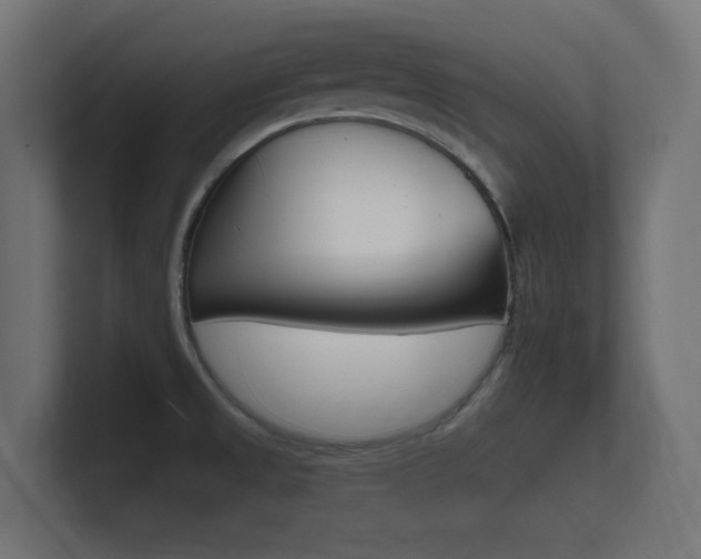X0000101951525200807180652