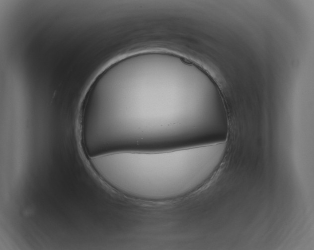 X0000101951526200807180652